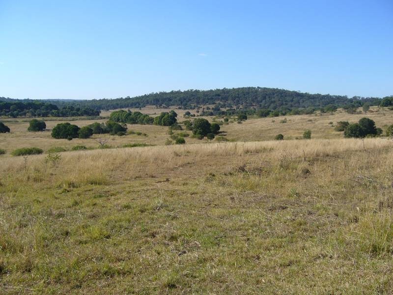 HARNEY STREET, Childers QLD 4660