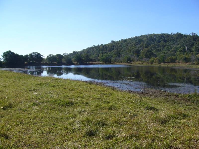 HARNEY STREET, Childers QLD 4660