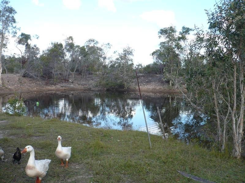 156 GARRYOWEN ROAD, FARNSFIELD, Childers QLD 4660
