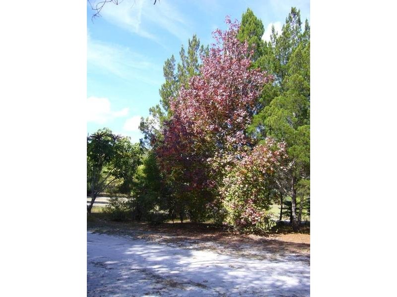 Woodgate QLD 4660