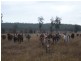 Mundubbera QLD 4626