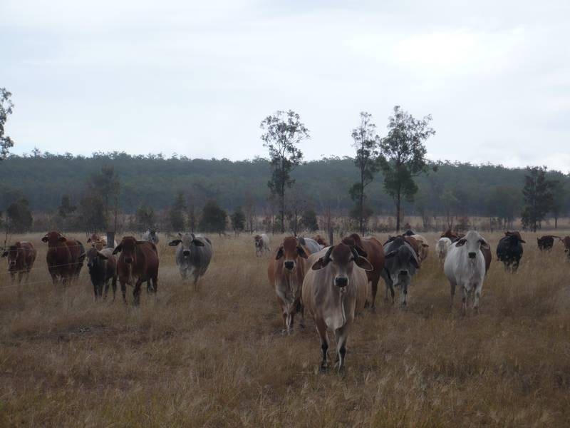 Mundubbera QLD 4626