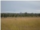 Mundubbera QLD 4626