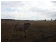 Mundubbera QLD 4626