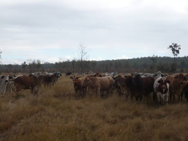 Mundubbera QLD 4626
