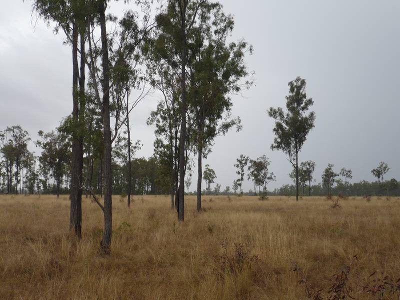 Mundubbera QLD 4626