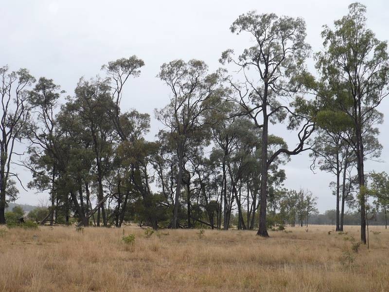 Mundubbera QLD 4626