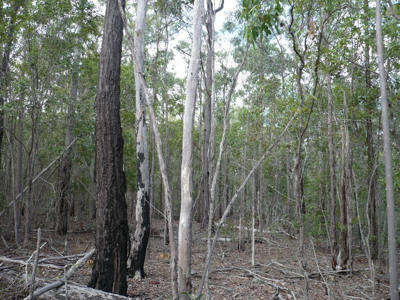 Childers QLD 4660