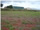 Childers QLD 4660
