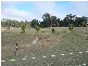 Apple Tree Creek QLD 4660