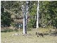 Apple Tree Creek QLD 4660