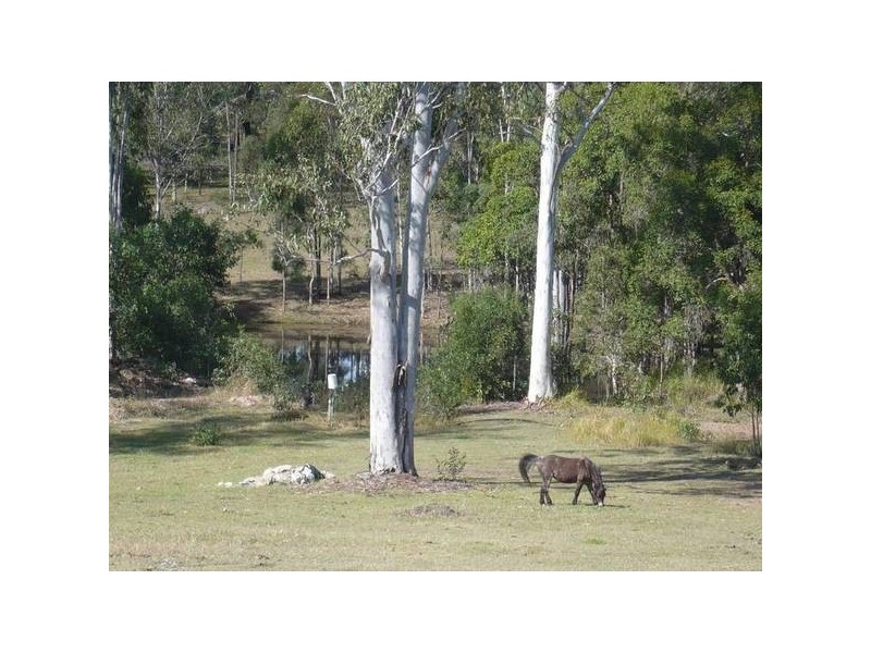 Apple Tree Creek QLD 4660