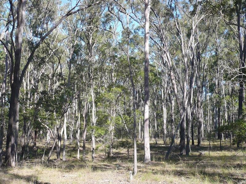 Lot 150,  JONES LANE, Eureka QLD 4660
