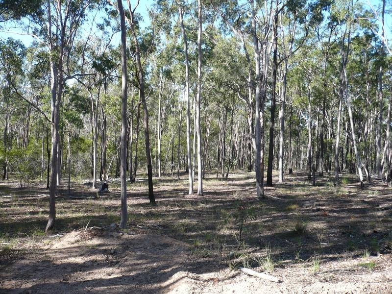 Lot 150,  JONES LANE, Eureka QLD 4660