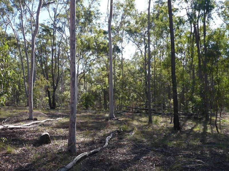 Lot 150,  JONES LANE, Eureka QLD 4660