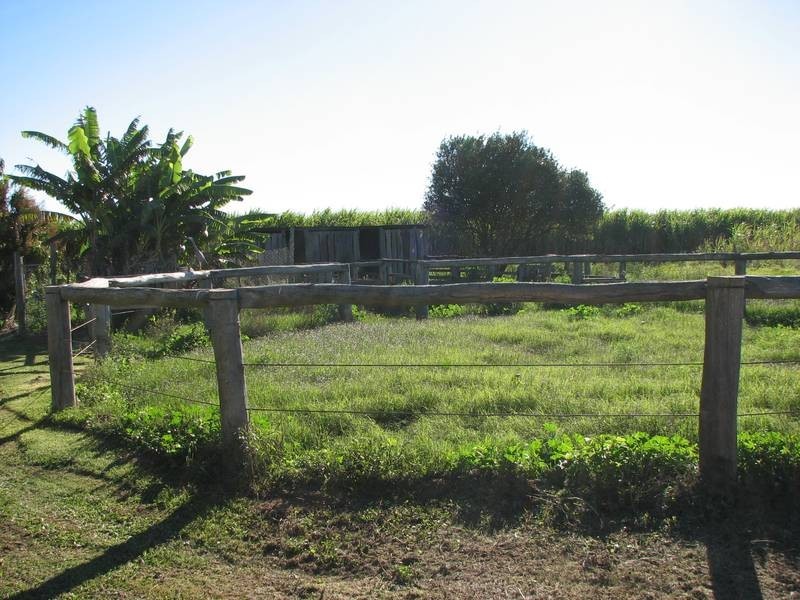 65 Pitts Road, Farnsfield QLD 4660
