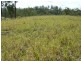 Booyal QLD 4671