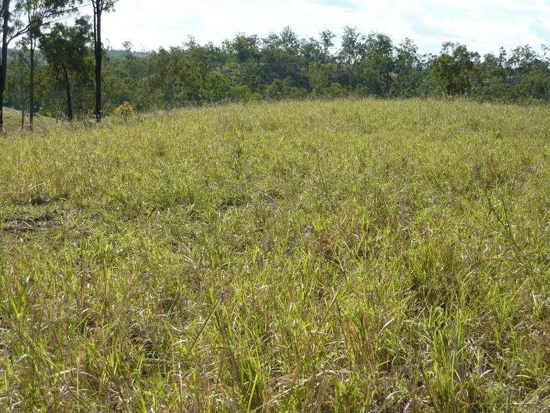 Booyal QLD 4671