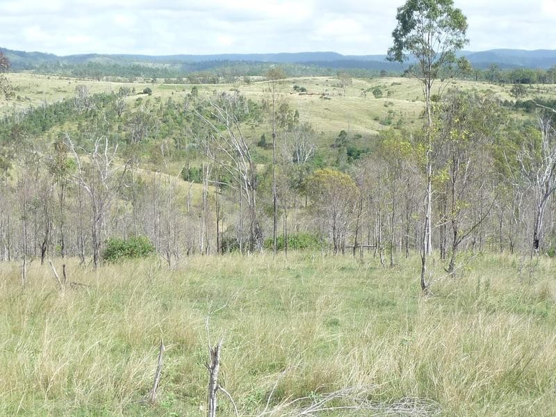 TENNINGERING ROAD, Good Night QLD 4671