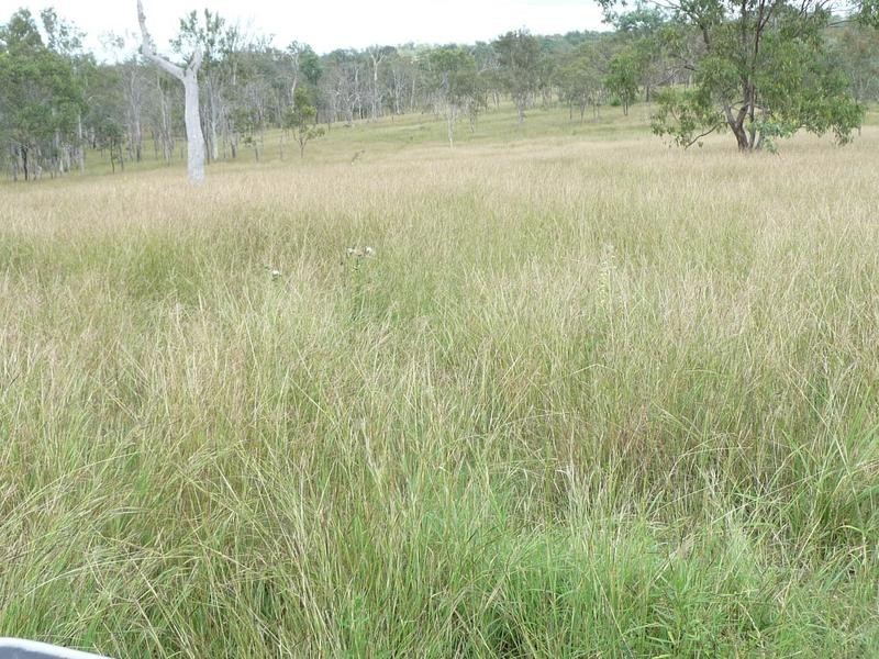 TENNINGERING ROAD, Good Night QLD 4671