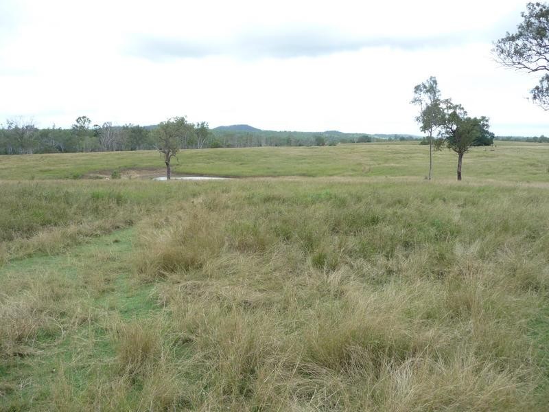 TENNINGERING ROAD, Good Night QLD 4671