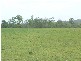 Golden Fleece QLD 4621