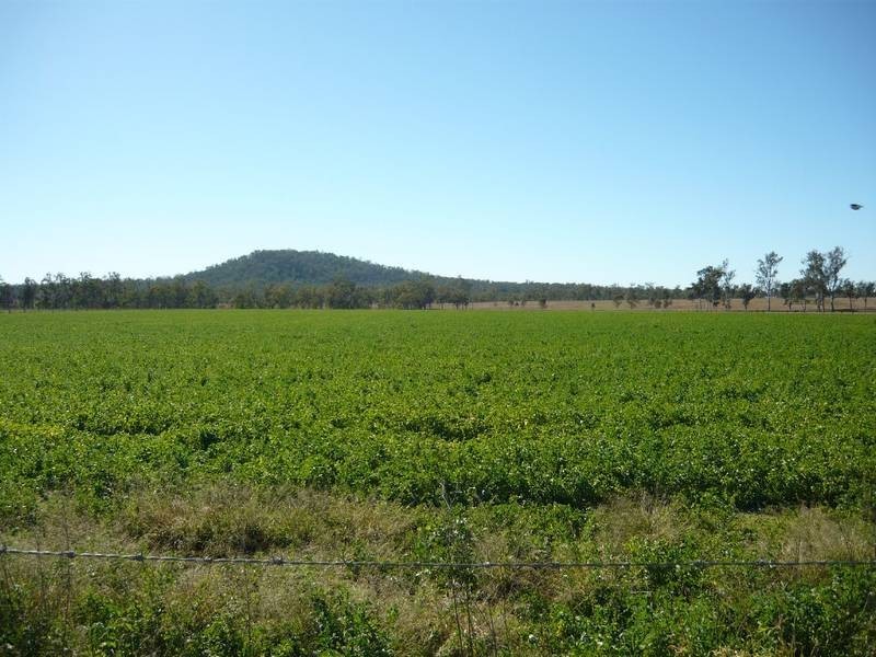 O’BIL BIL ROAD, Eidsvold QLD 4627