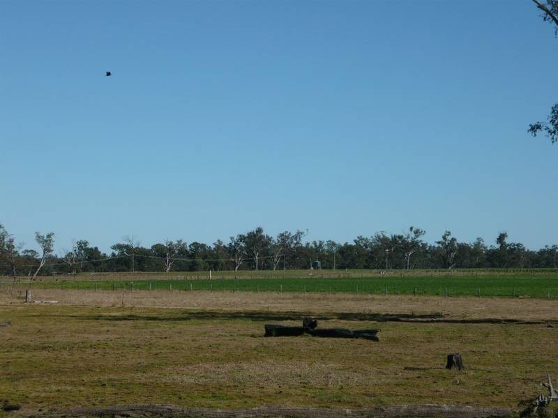 O’BIL BIL ROAD, Eidsvold QLD 4627