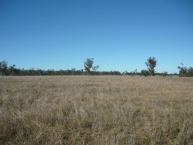 O’BIL BIL ROAD, Eidsvold QLD 4627