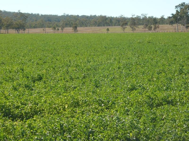 O’BIL BIL ROAD, Eidsvold QLD 4627