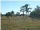 Lot A,  SECCOMBES ROAD, Biggenden QLD 4621