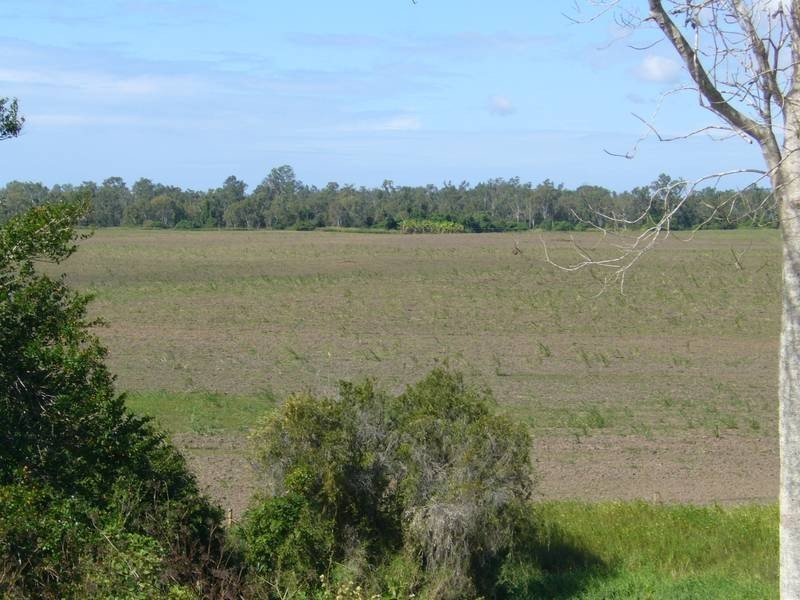 Avondale QLD 4670