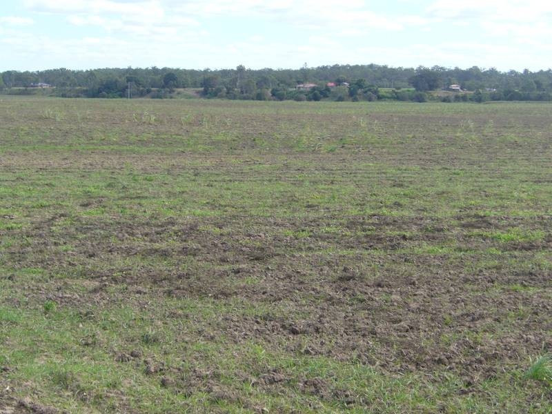 Avondale QLD 4670