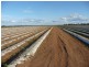 TRAMWAY ROAD, Farnsfield QLD 4660