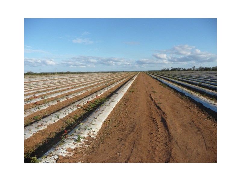 TRAMWAY ROAD, Farnsfield QLD 4660