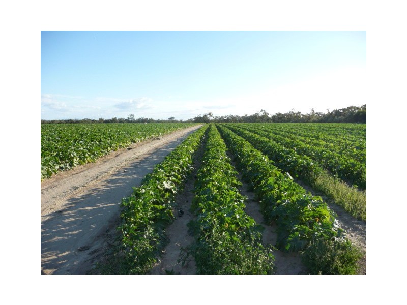 TRAMWAY ROAD, Farnsfield QLD 4660