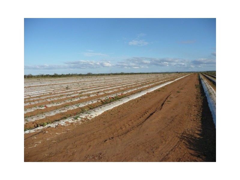 TRAMWAY ROAD, Farnsfield QLD 4660