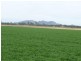 230 Old Coach Road, Biggenden QLD 4621