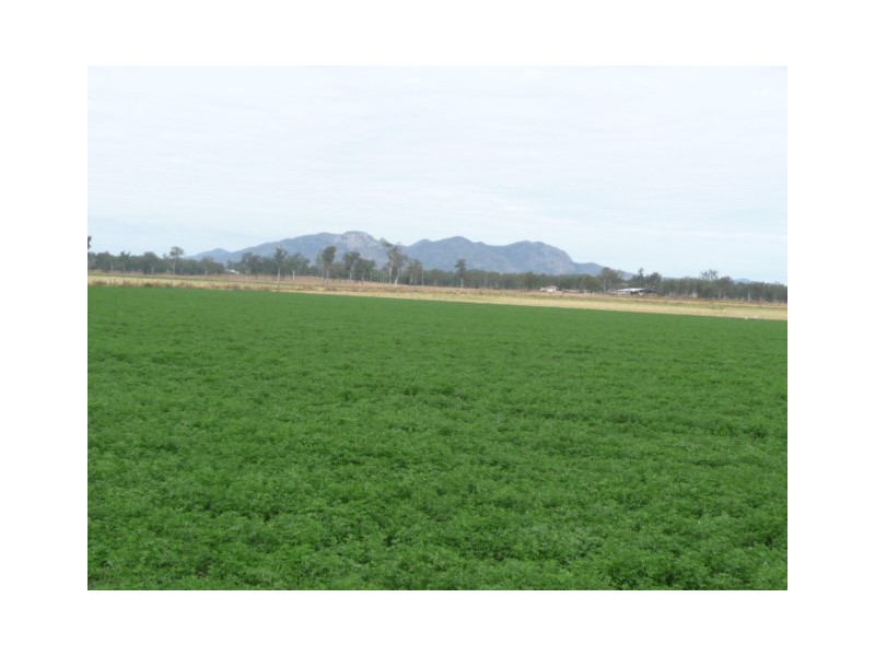 230 Old Coach Road, Biggenden QLD 4621