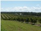 North Isis QLD 4660