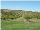 North Isis QLD 4660