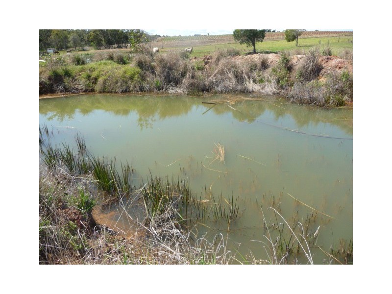 North Isis QLD 4660
