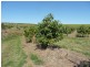 North Isis QLD 4660