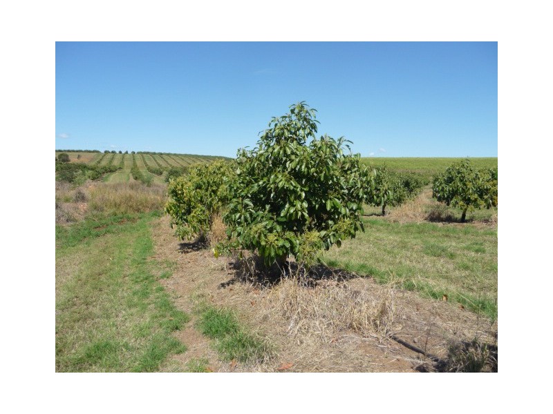 North Isis QLD 4660