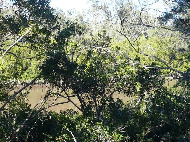 Buxton QLD 4660