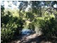 Buxton QLD 4660