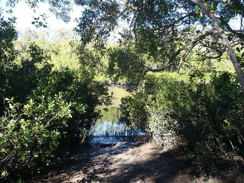 Buxton QLD 4660