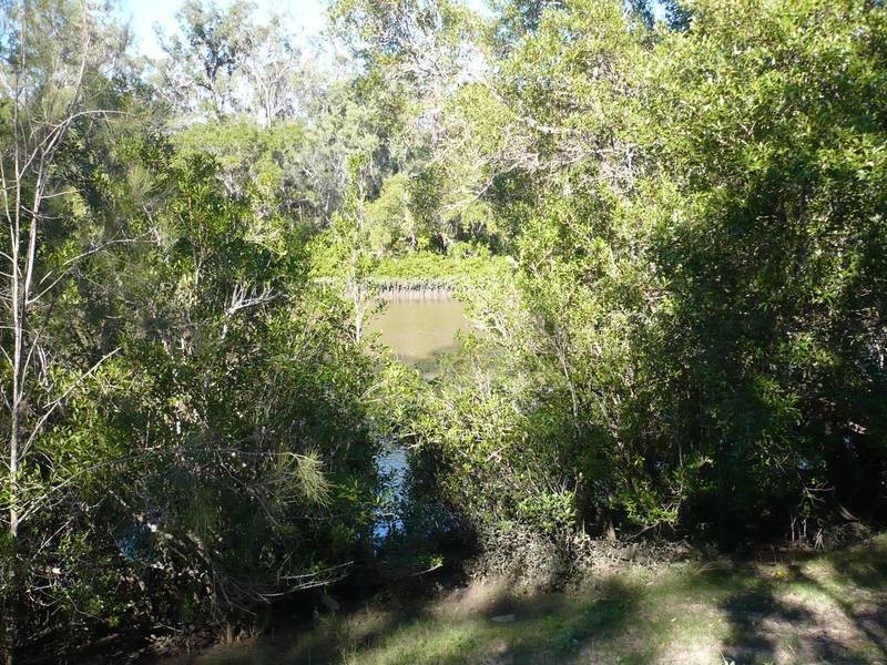 Buxton QLD 4660