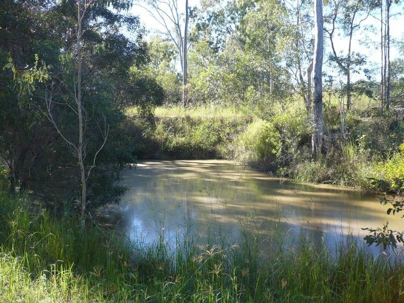 Buxton QLD 4660