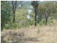 Dallarnil QLD 4621